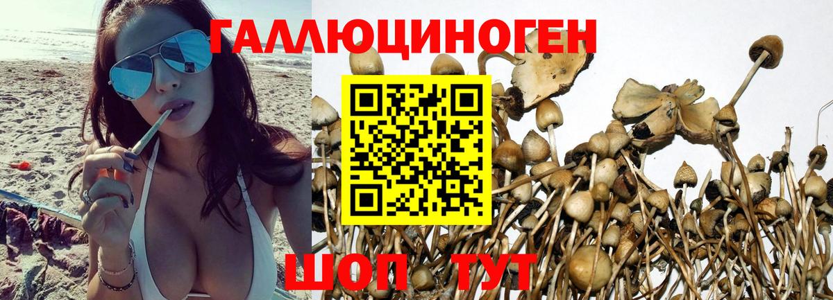 Псилоцибиновые грибы MAGIC MUSHROOMS Тихорецк